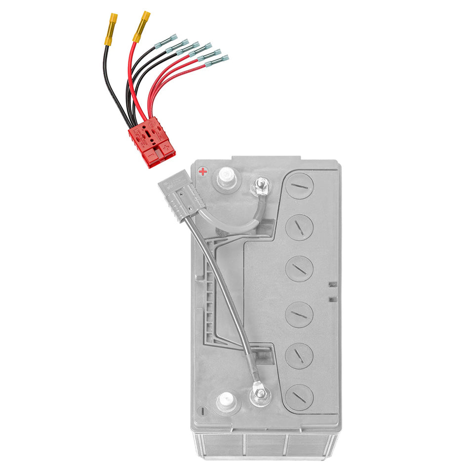 Accesorio Connect-Ease Multi de 4 cables para batería principal [RCE12VB4]