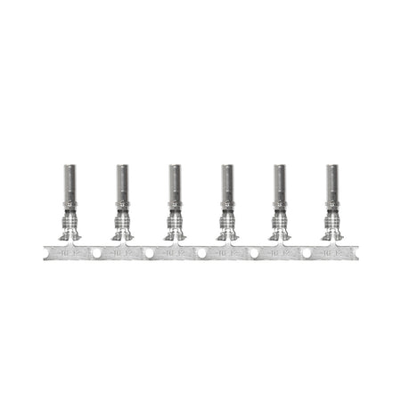 Pacer DTP Deutsch Socket f/10 AWG Wire - Size 12 Contact (10 Pack)
