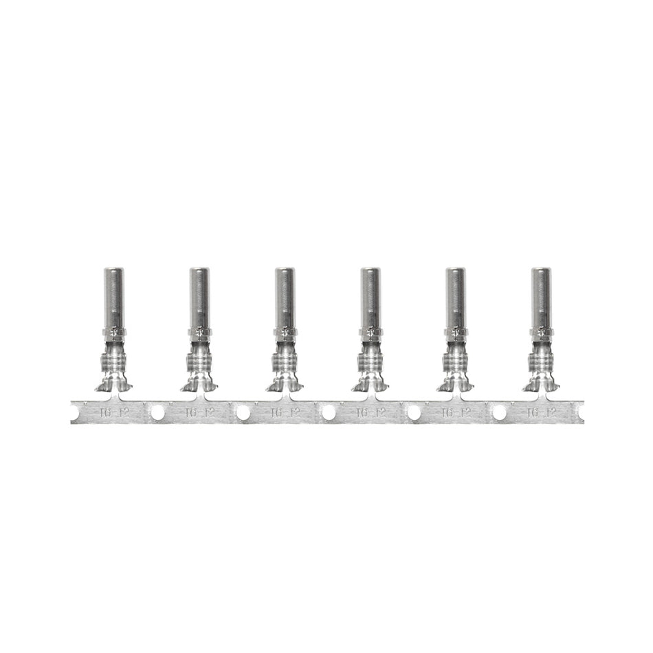 Pacer DTP Deutsch Socket f/10 AWG Wire - Size 12 Contact (25 Pack)