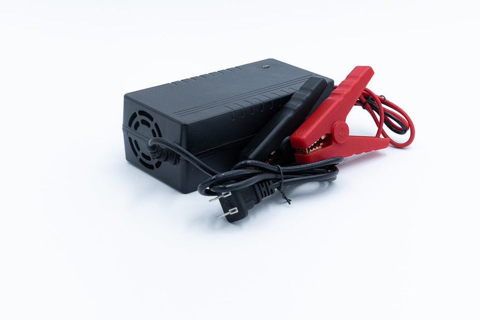 12v 10a Non Waterproof LiFePO4 Charger - Get Tight Gear