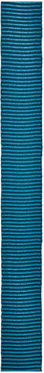 1"X300' Teal Tube Webbing - Get Tight Gear
