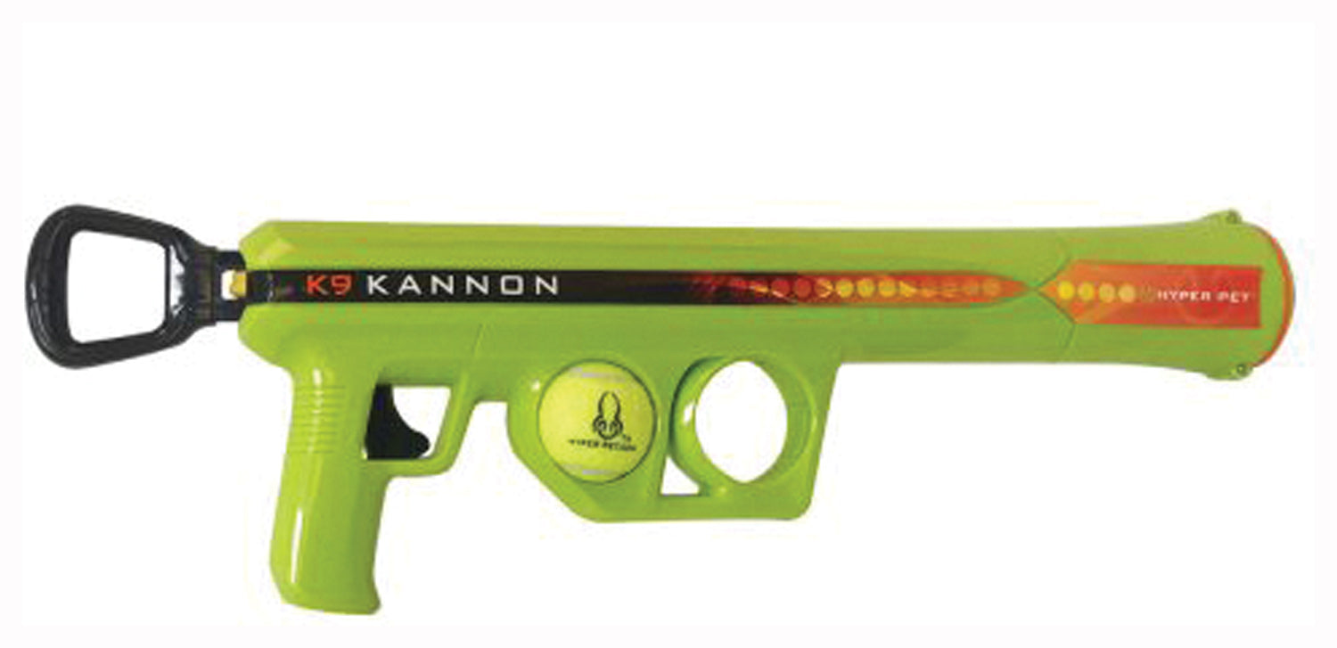 K 9 Kannon