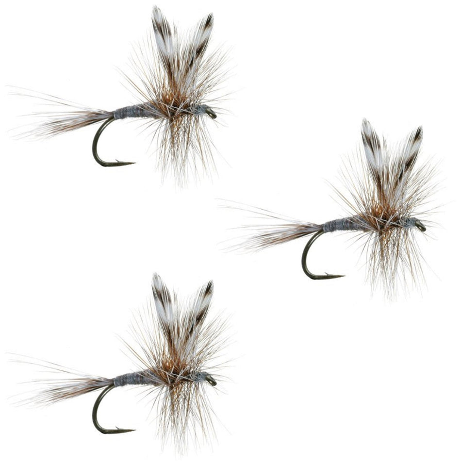 3 Pack Adams Classic Dry Fly - Hook Size 12 - Get Tight Gear