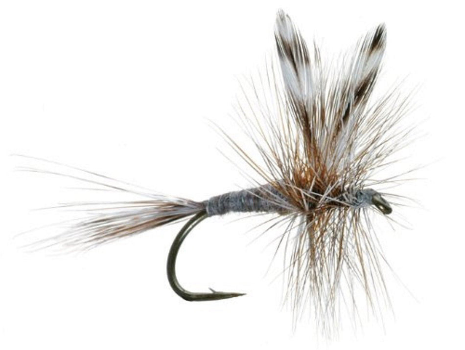 3 Pack Adams Classic Dry Fly - Hook Size 20 - Get Tight Gear