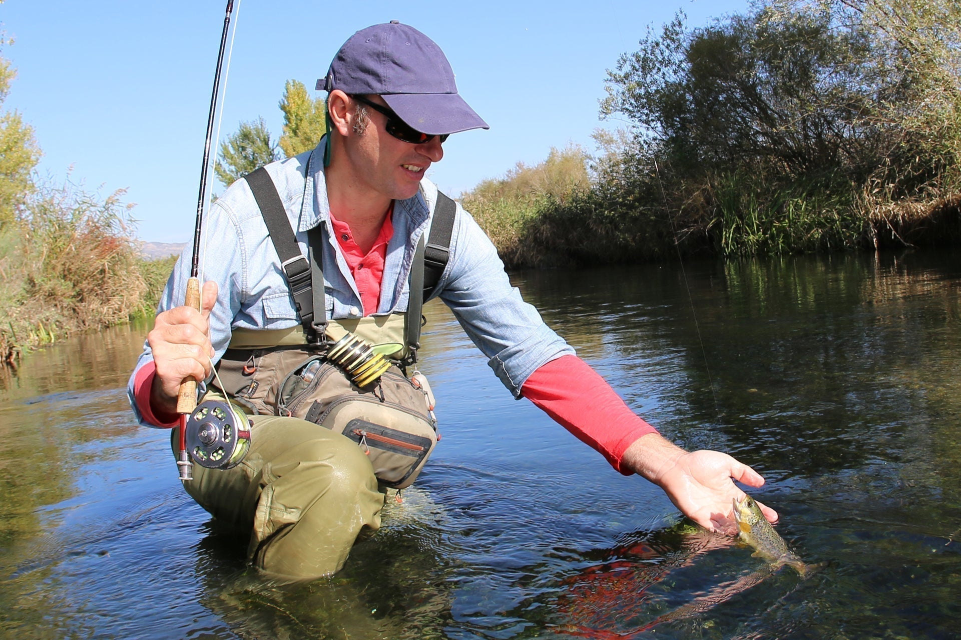 3 Pack Adams Female Classic Dry Fly - Hook Size 14 - Get Tight Gear