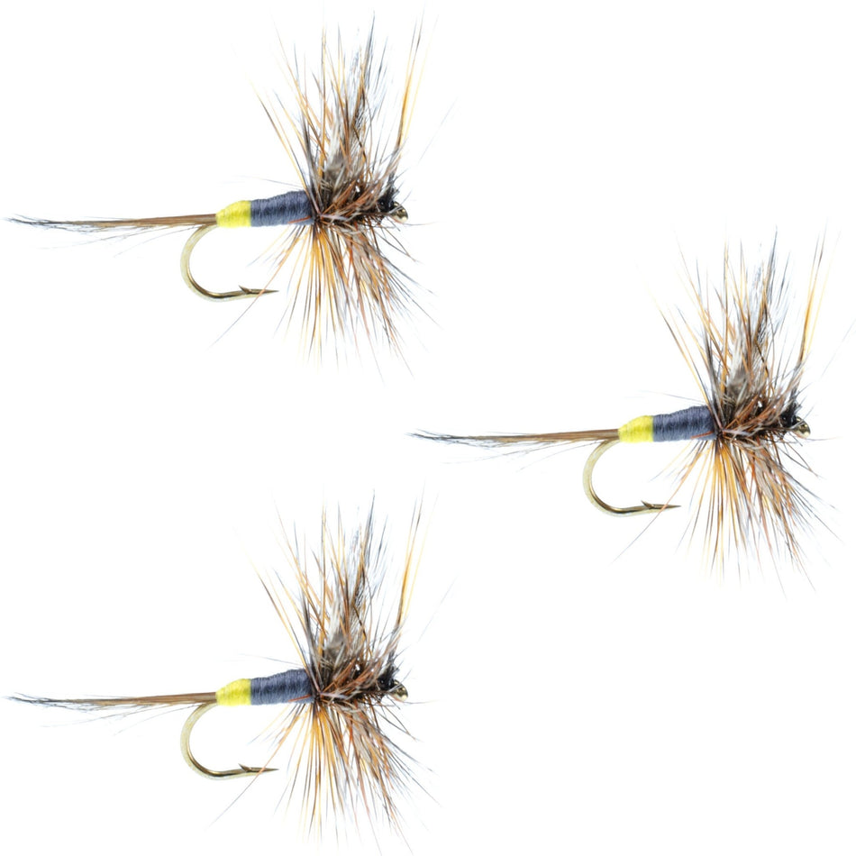 3 Pack Adams Female Classic Dry Fly - Hook Size 16 - Get Tight Gear