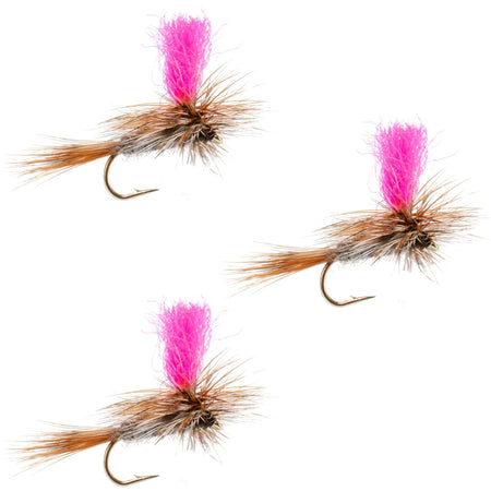 3 Pack Adams Hi - Viz Parachute Classic Dry Fly - Hook Size 14 - Get Tight Gear