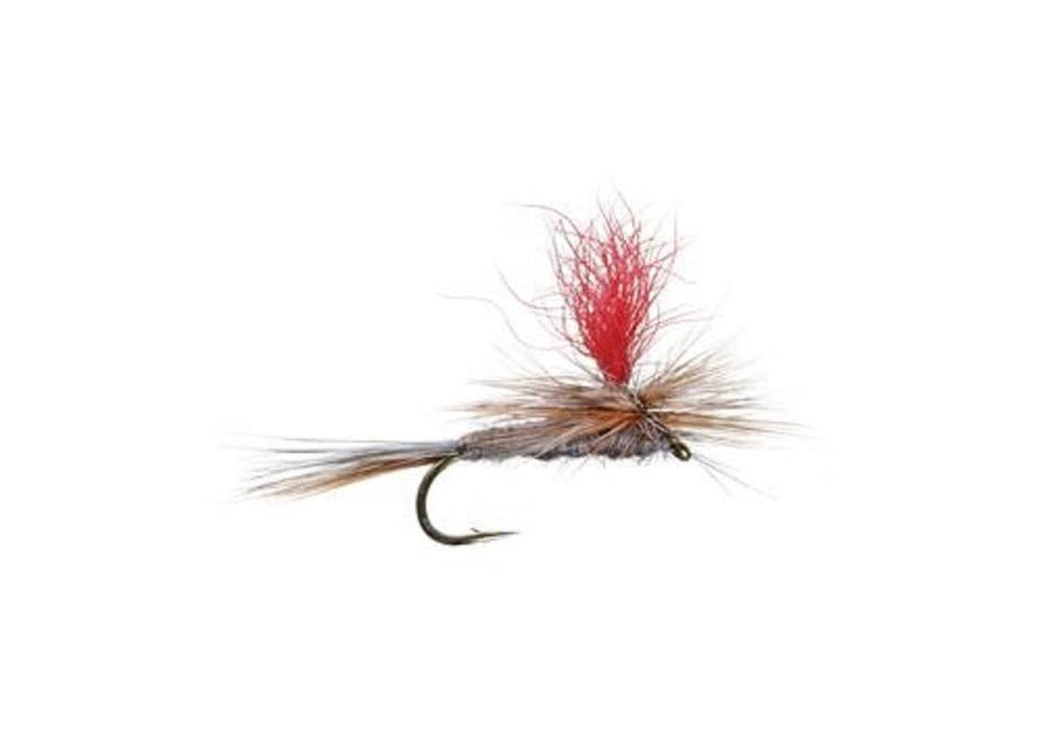 3 Pack Adams Hi - Viz Parachute Classic Dry Fly - Hook Size 16 - Get Tight Gear