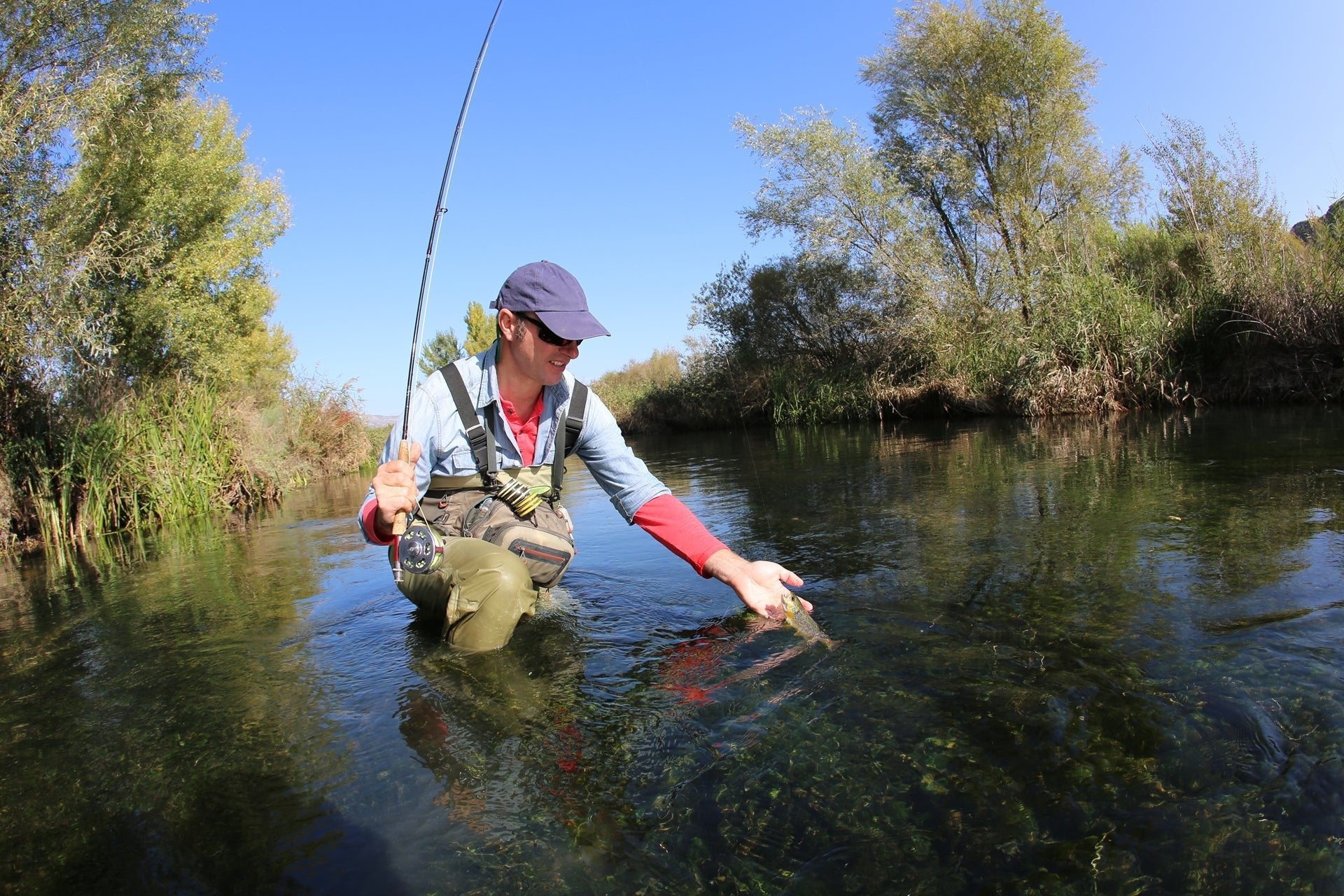 3 Pack Adams Parachute Classic Dry Fly - Hook Size 10 - Get Tight Gear