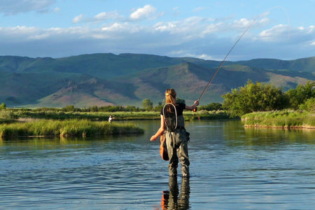 3 Pack Adams Wulff Classic Dry Fly - Hook Size 10 - Get Tight Gear
