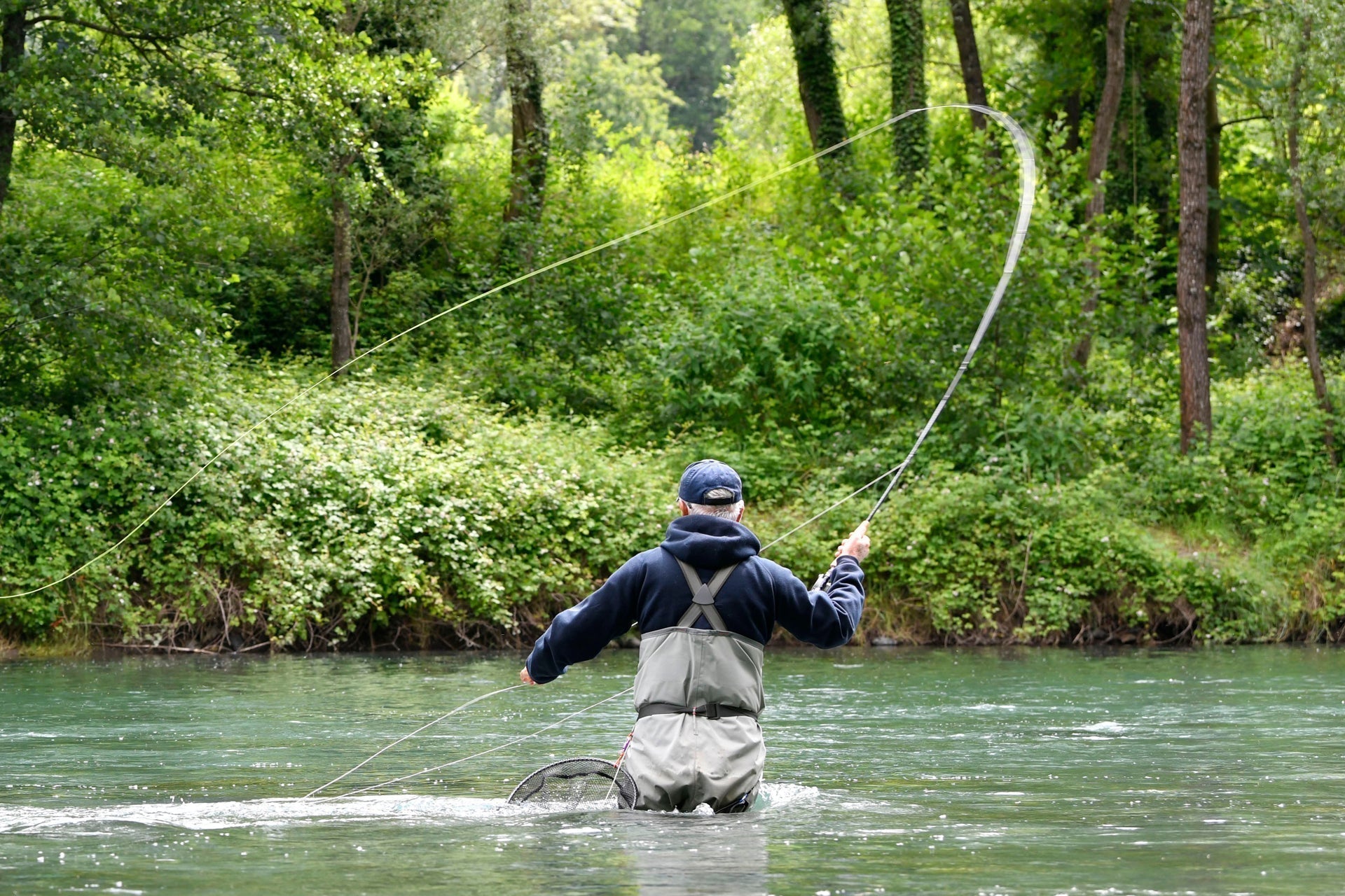 3 Pack Adams Wulff Classic Dry Fly - Hook Size 12 - Get Tight Gear