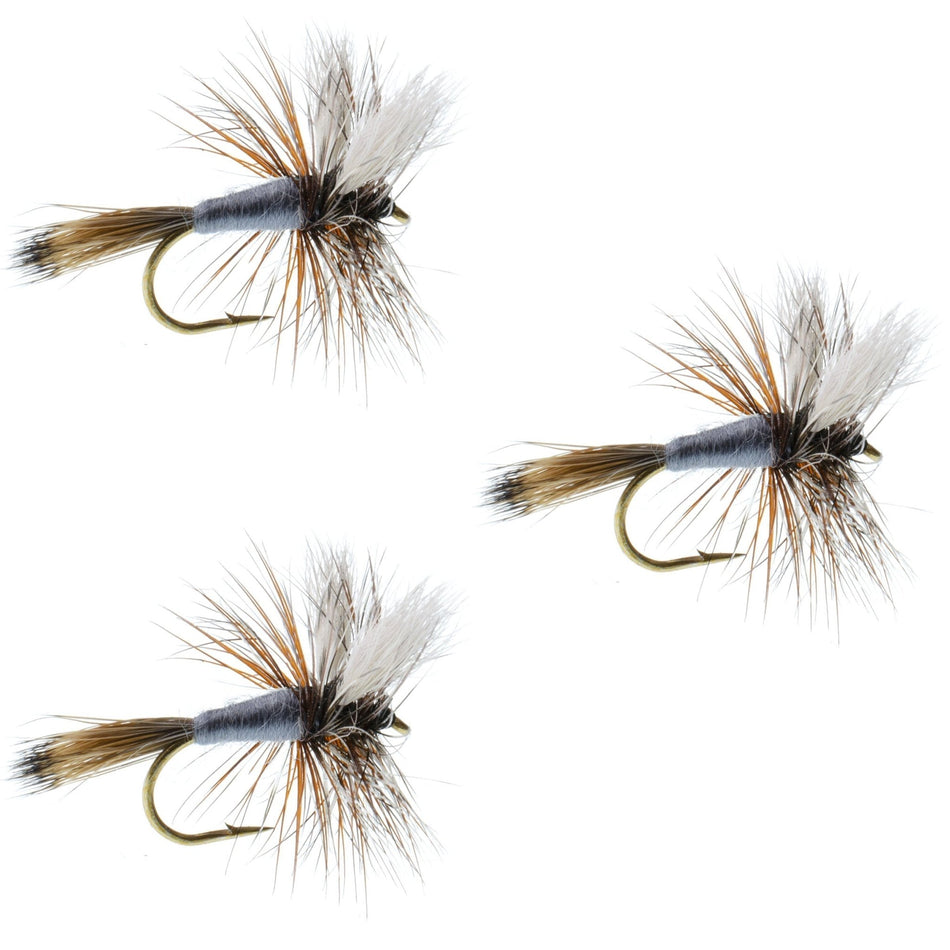 3 Pack Adams Wulff Classic Dry Fly - Hook Size 12 - Get Tight Gear