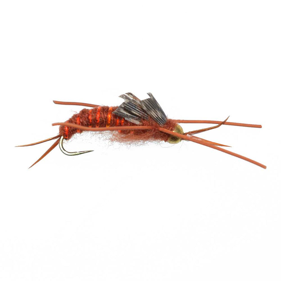 3 Pack Barbless Gold Bead Kaufmann's Brown Stone Fly with Rubber Legs - Stonefly Wet Fly - Hook Size 12 - Get Tight Gear