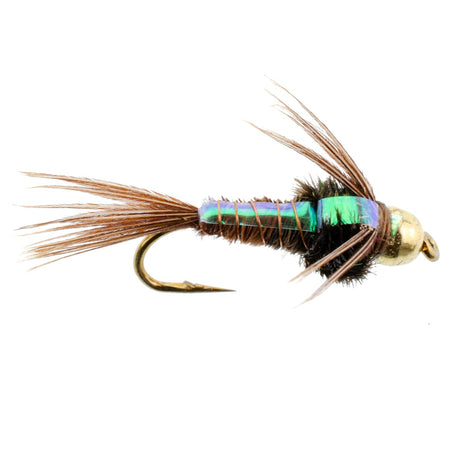 3 Pack Bead Head Flashback Pheasant Tail Nymph Fly Fishing Flies Hook Size 10 - Get Tight Gear