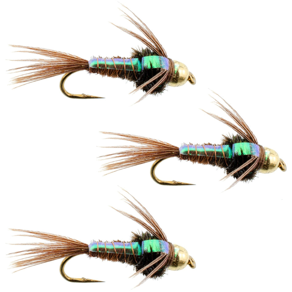 3 Pack Bead Head Flashback Pheasant Tail Nymph Fly Fishing Flies Hook Size 12 - Get Tight Gear