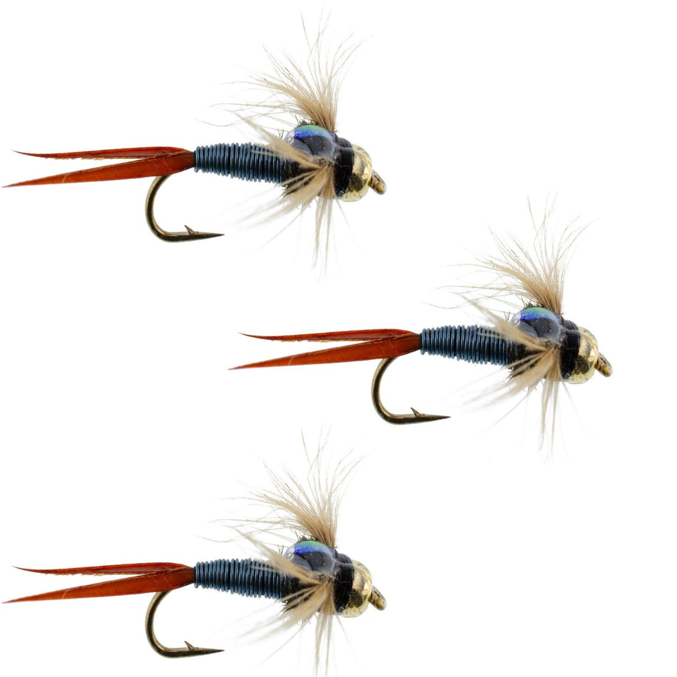 3 Pack Bead Head Metallic Blue Copper John Nymph - Fly Fishing Flies - Hook Size 12 - Get Tight Gear