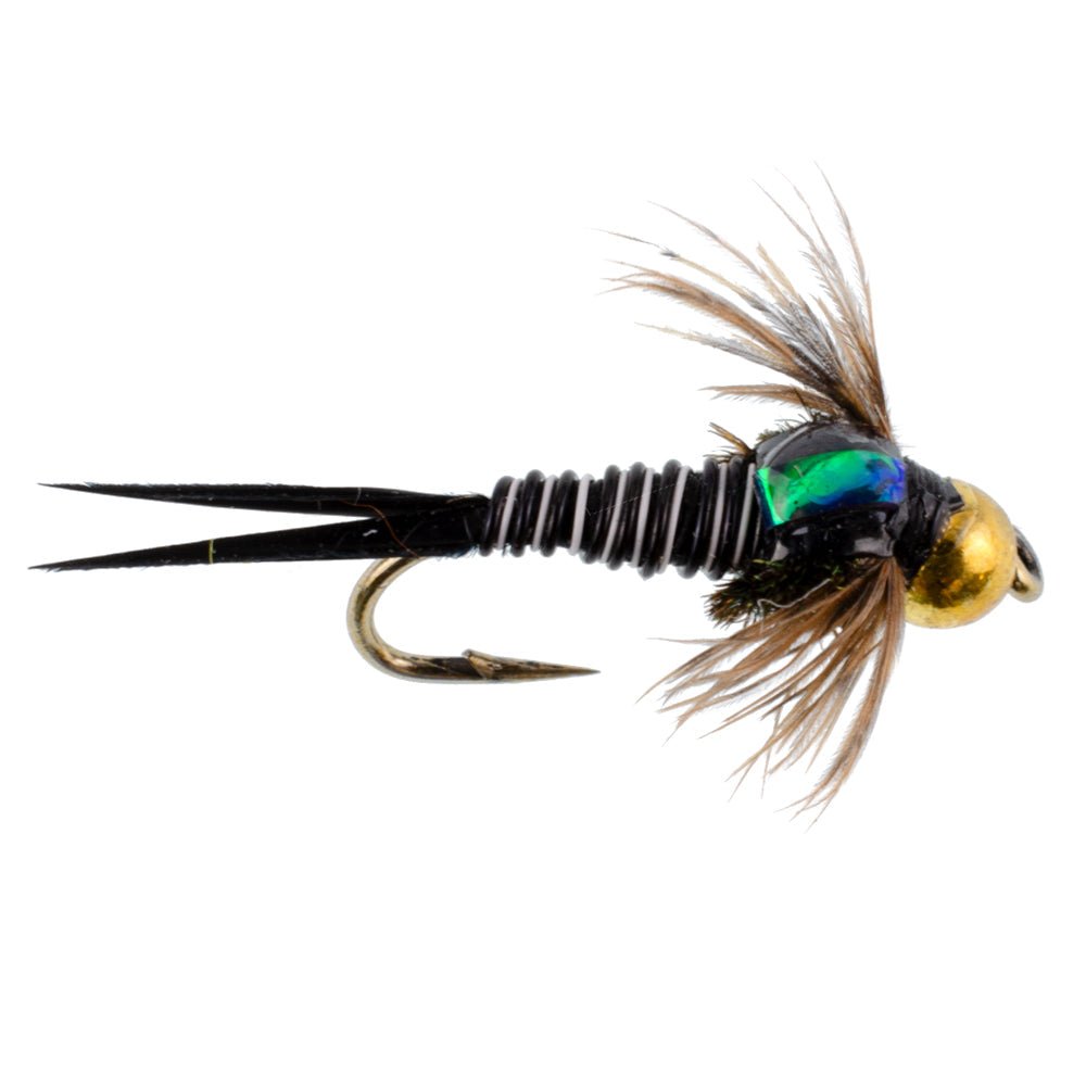3 Pack Bead Head Zebra Copper John Nymph Fly Fishing Flies - Hook Size 16 - Get Tight Gear