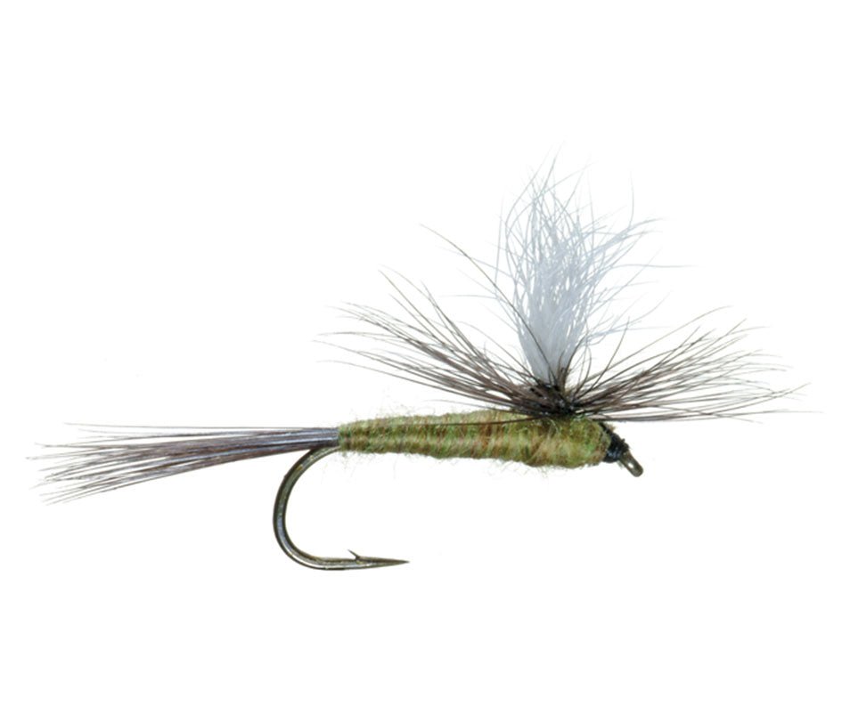 3 Pack Blue Wing Olive BWO Parachute Dry Fly - Hook Size 16 - Get Tight Gear