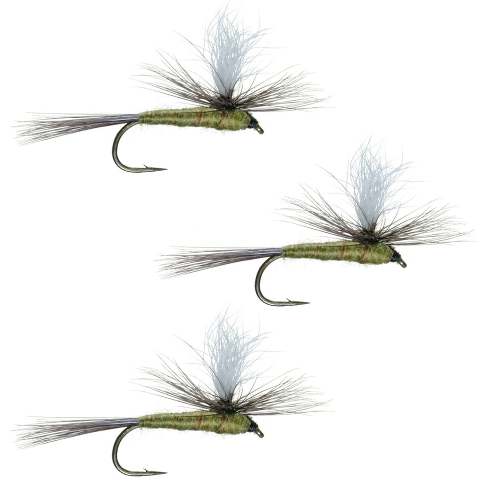 3 Pack Blue Wing Olive BWO Parachute Dry Fly - Hook Size 18 - Get Tight Gear