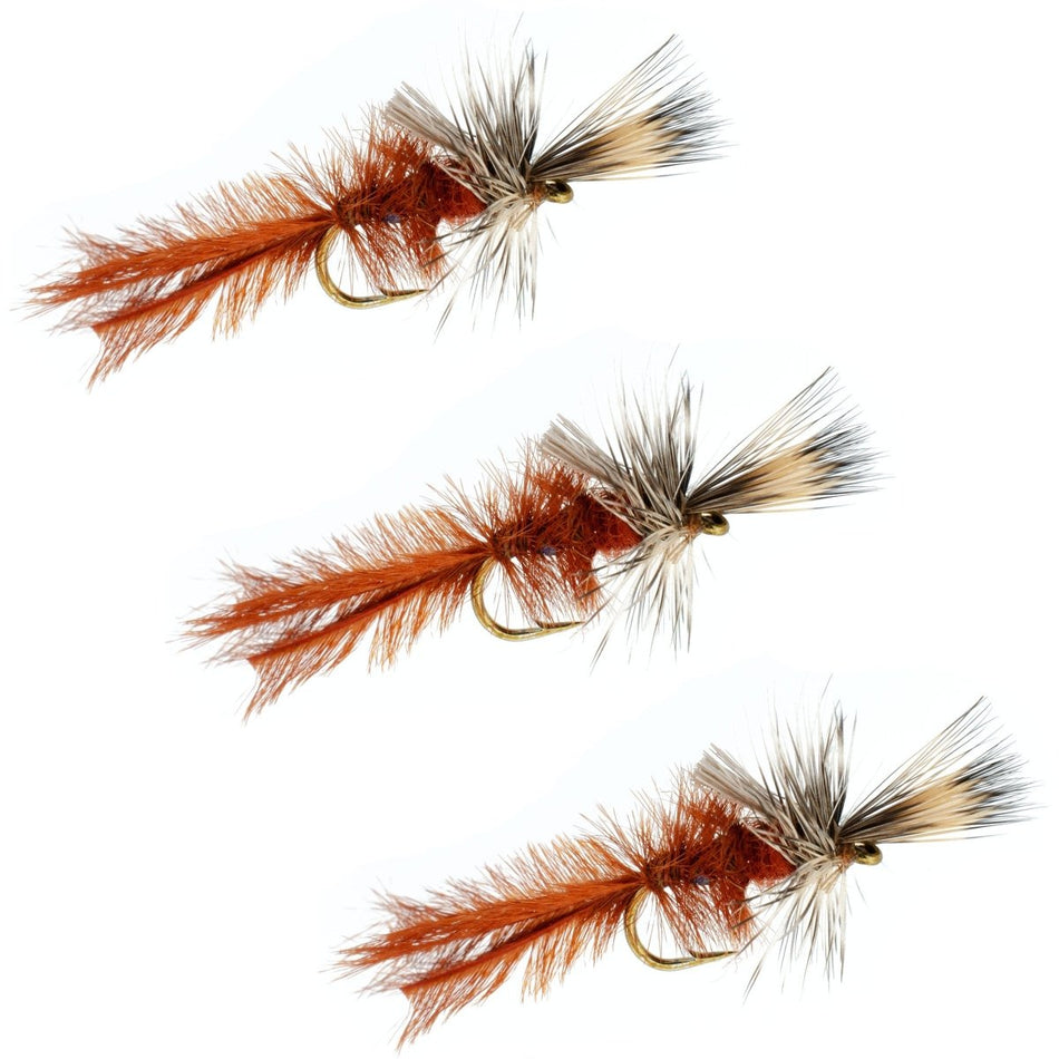 3 Pack Callibaetis Cripple Mayfly Hook Size 16 - Get Tight Gear