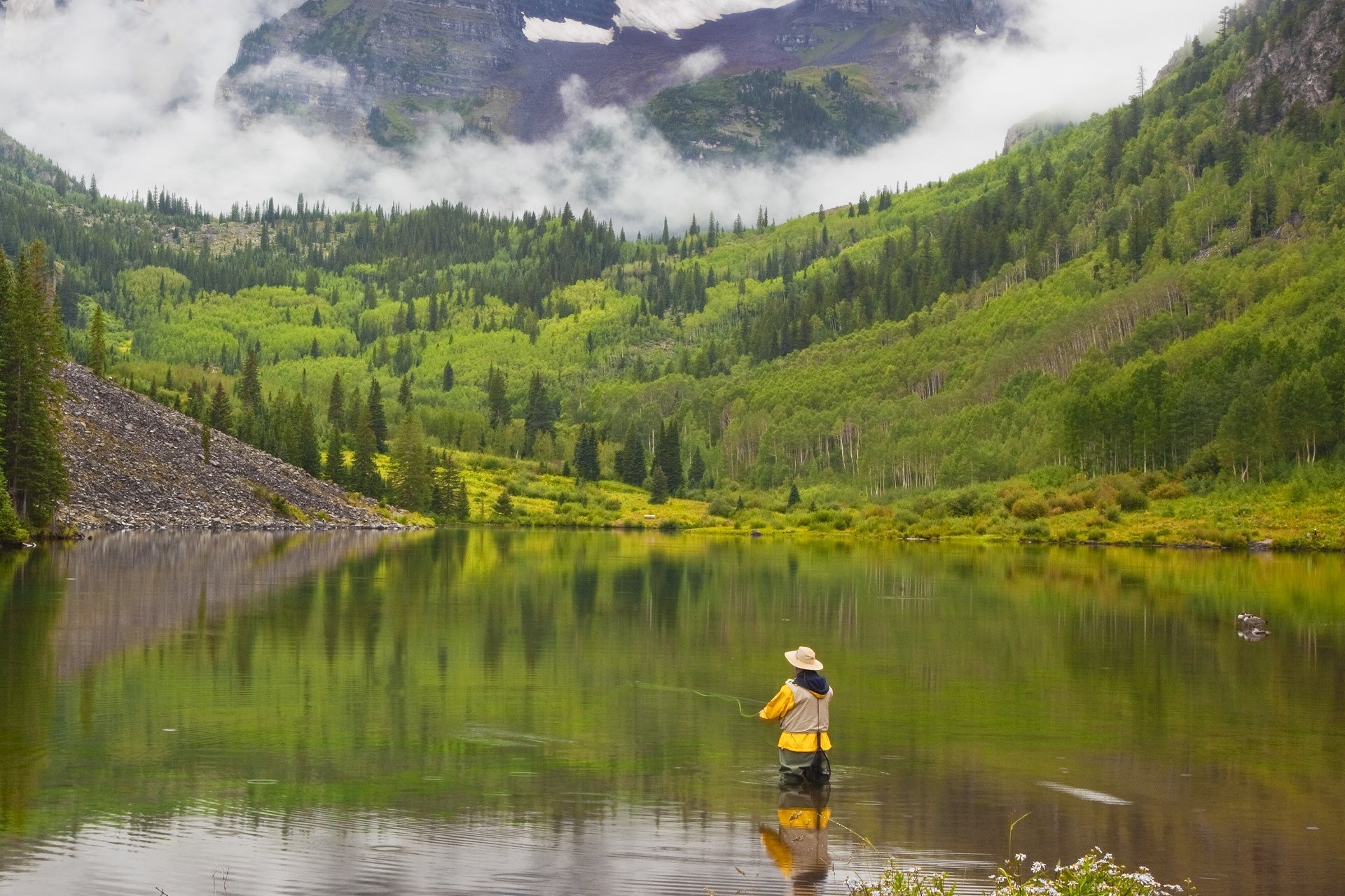 3 Pack Goddard Caddis Black Dry Fly - Hook Size 16 - Get Tight Gear