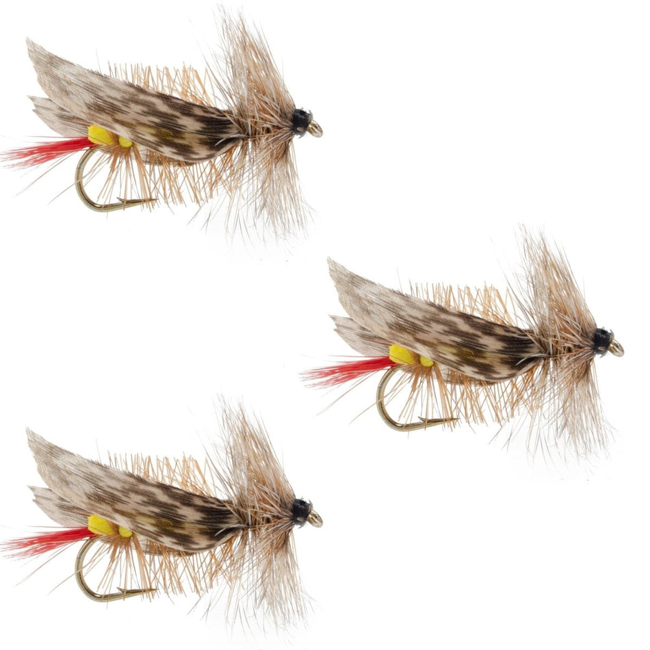 3 Pack Joe's Hopper Yellow Foam Body Grasshopper Fly - 6 Flies Hook Size 10 - Get Tight Gear