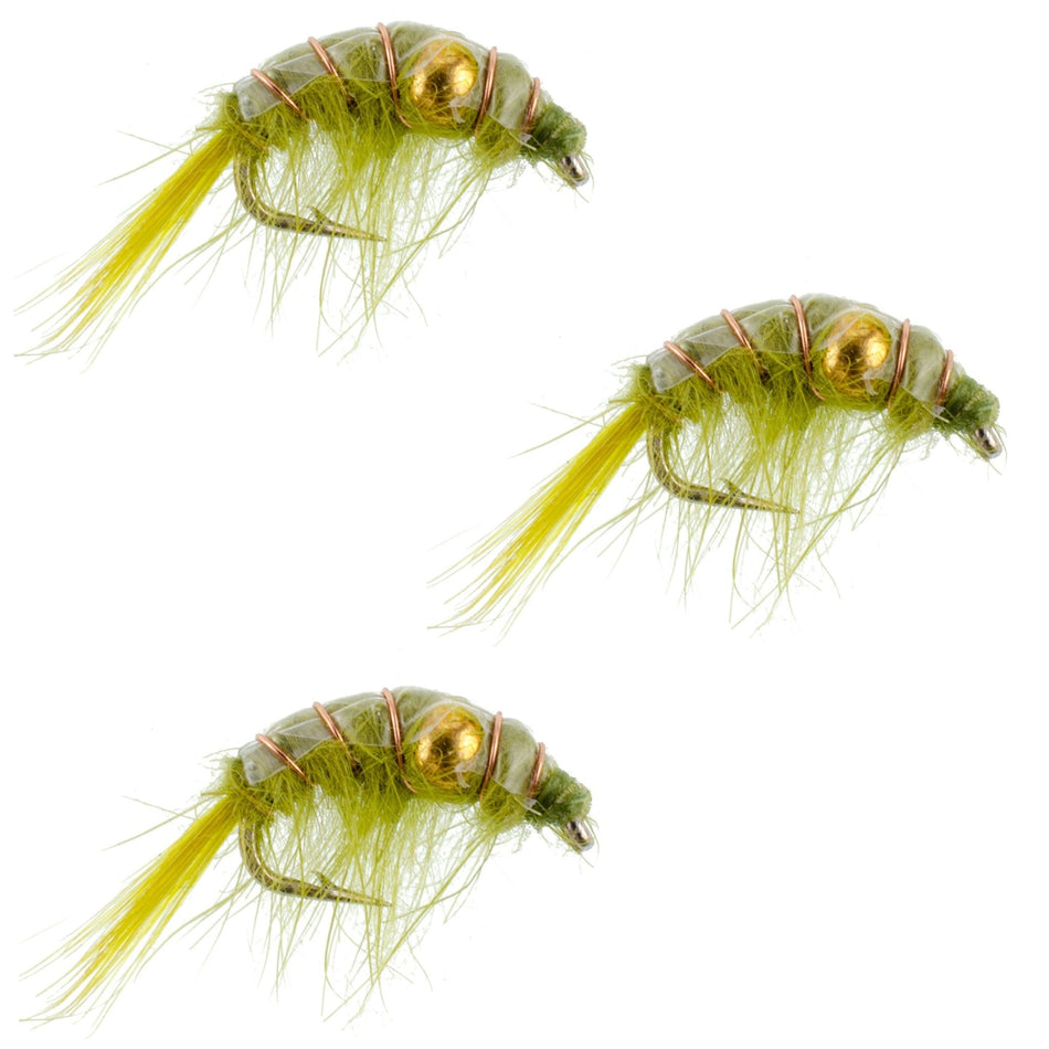 3 Pack Olive Beaded Shrimp Scud Pattern - Size 12 - Tailwater Lake Fly Fishing Nymph Flies - Get Tight Gear