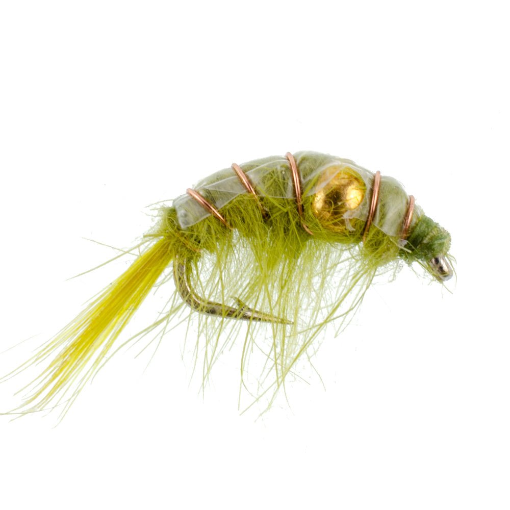 3 Pack Olive Beaded Shrimp Scud Pattern - Size 12 - Tailwater Lake Fly Fishing Nymph Flies - Get Tight Gear
