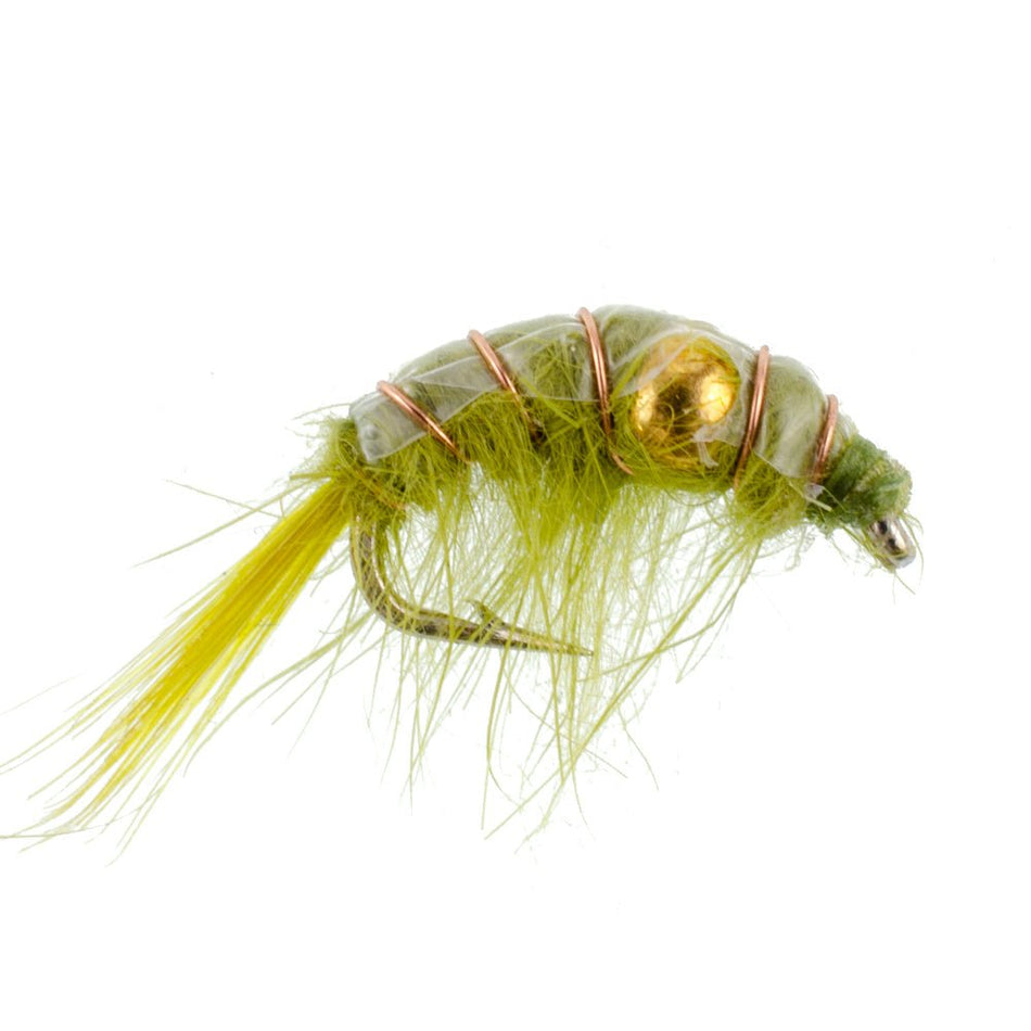 3 Pack Olive Beaded Shrimp Scud Pattern - Size 12 - Tailwater Lake Fly Fishing Nymph Flies - Get Tight Gear