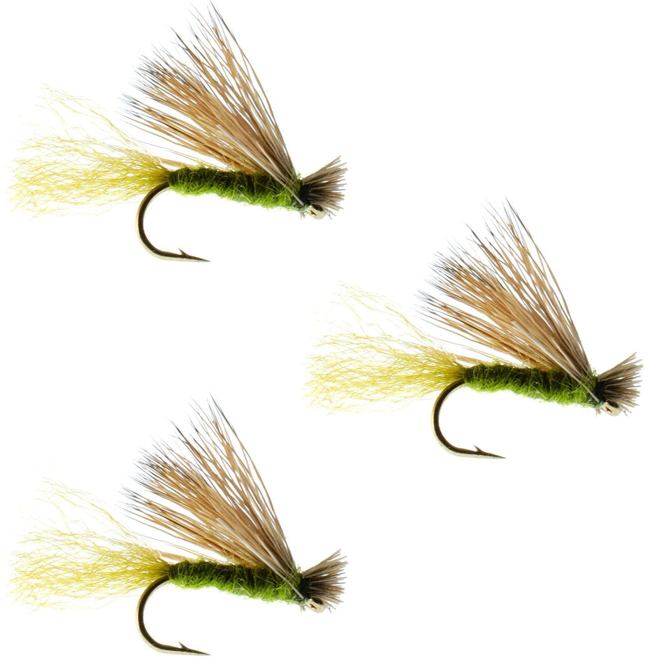 3 Pack Olive X Caddis Emerging Caddis Adult Trout Dry Fly - Hook Size 14 - Get Tight Gear
