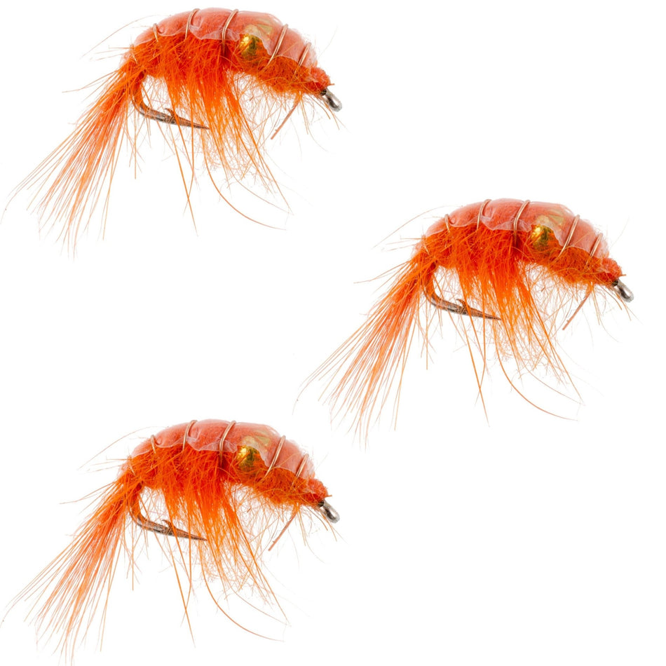 3 Pack Orange Beaded Shrimp Scud Pattern - Size 12 - Tailwater Lake Fly Fishing Nymph Flies - Get Tight Gear