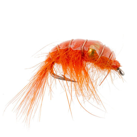 3 Pack Orange Beaded Shrimp Scud Pattern - Size 12 - Tailwater Lake Fly Fishing Nymph Flies - Get Tight Gear