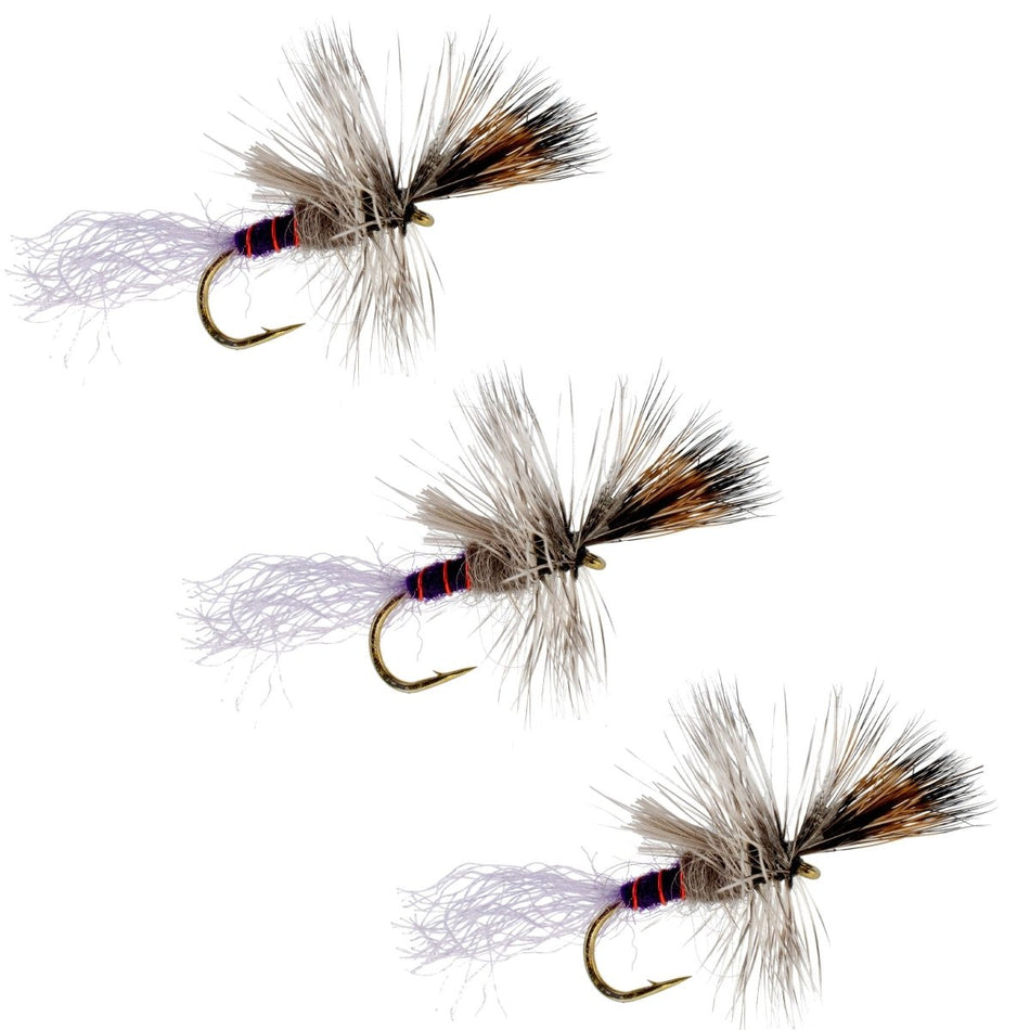 3 Pack Purple Haze Cripple Mayfly Hook Size 14 - Get Tight Gear