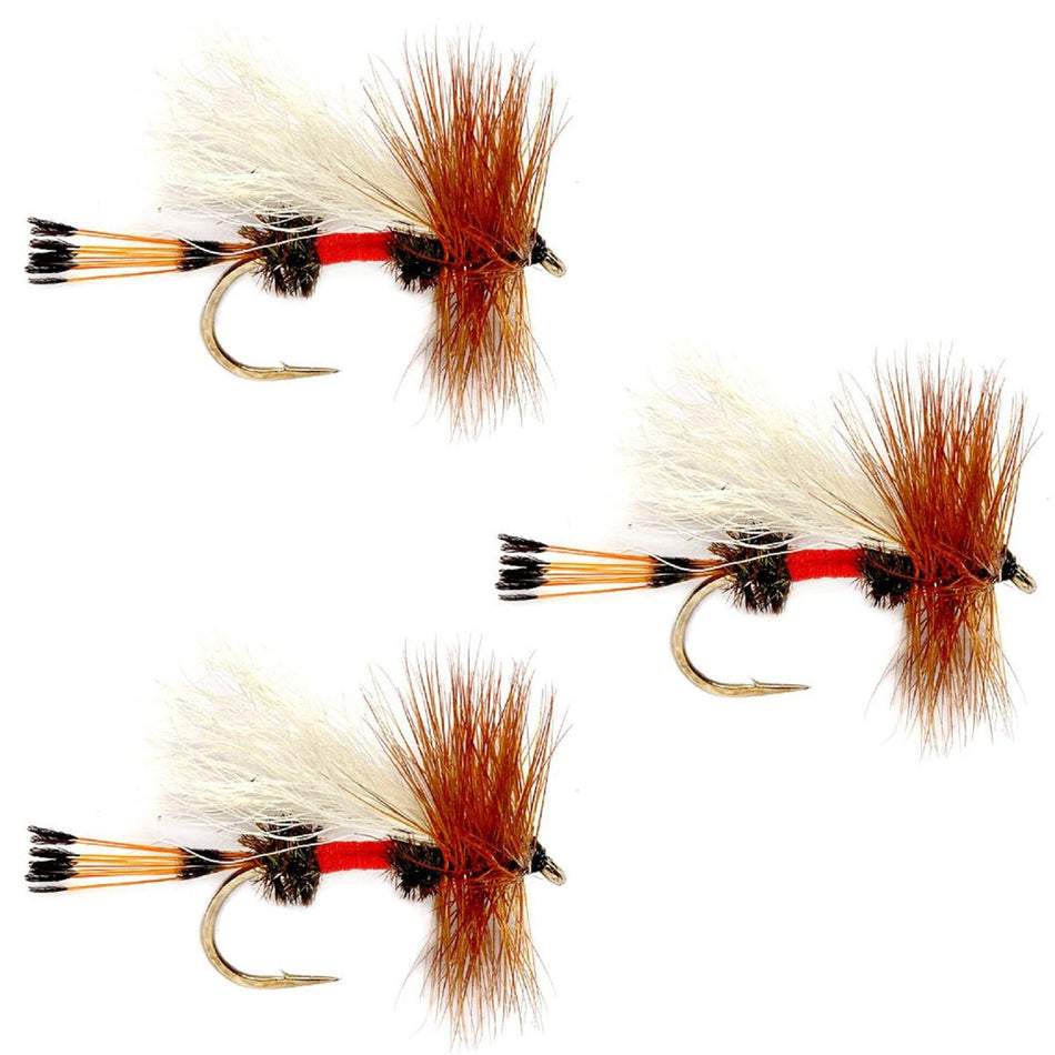 3 Pack Royal Trude Classic Hair Wing Dry Fly - Hook Size 12 - Get Tight Gear