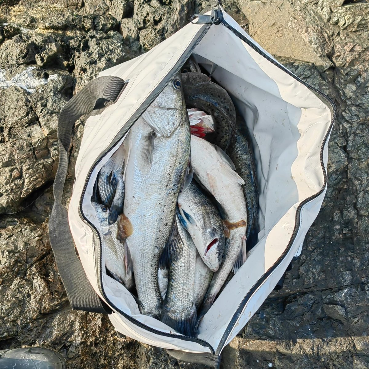 37QT Fish Cooler Bag With Flat Bottom - Get Tight Gear