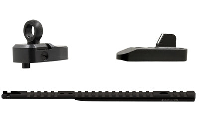 XS LVRAIL GR SIGHT PK WS HENRY 45-70