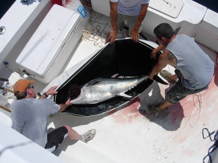 72x30'' Fish Cooler Bag With YKK Zipper - Get Tight Gear