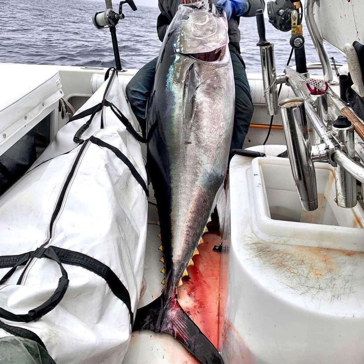 80x40'' Fish Cooler Bag With YKK Zipper - Get Tight Gear