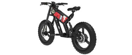 MB1 Genesis Fat Tire Moonbird Inspired Ebike