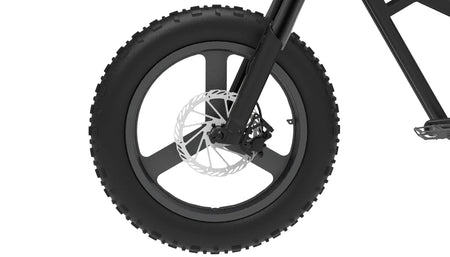 MB1 Genesis Fat Tire Moonbird Inspired Ebike
