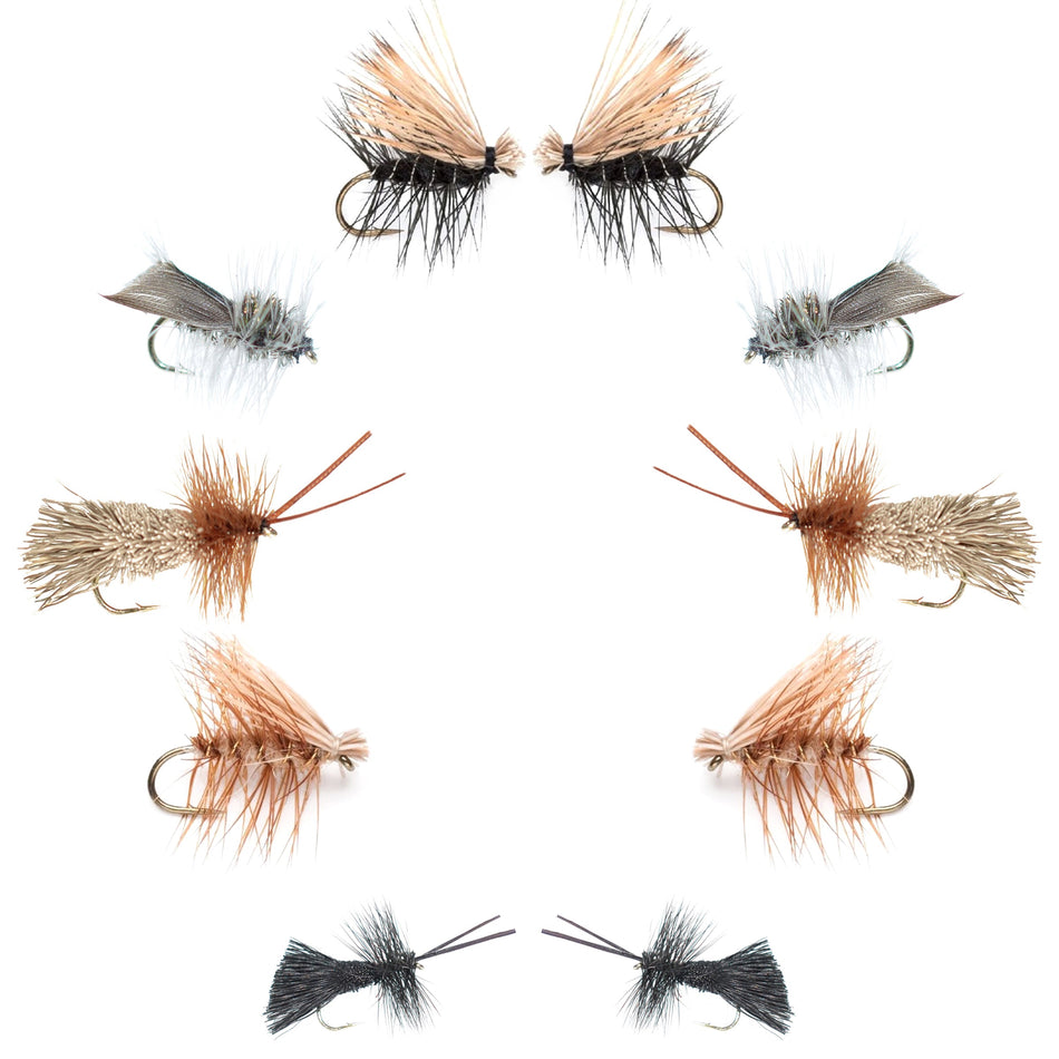 Basics Collection - Essential Caddis Dry Fly Assortment - 10 Dry Fishing Flies - 5 Patterns - Hook Sizes 12, 14, 16, 18