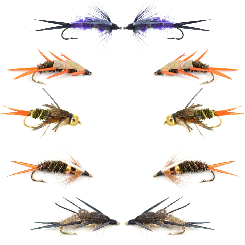 Basics Collection - Double Bead Head Nymph Assortment - 10 Wet Flies - 5 Patterns - Hook Size 14