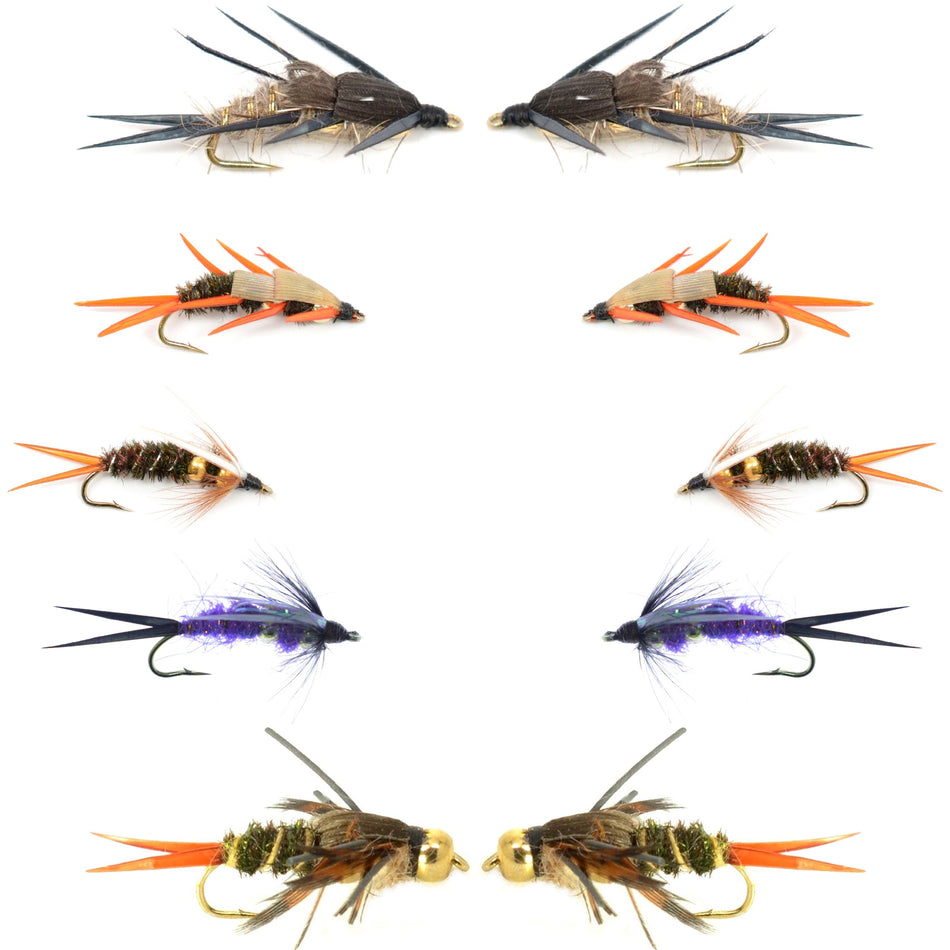 Basics Collection - Double Bead Head Nymph Assortment - 10 Wet Flies - 5 Patterns - Hook Size 10