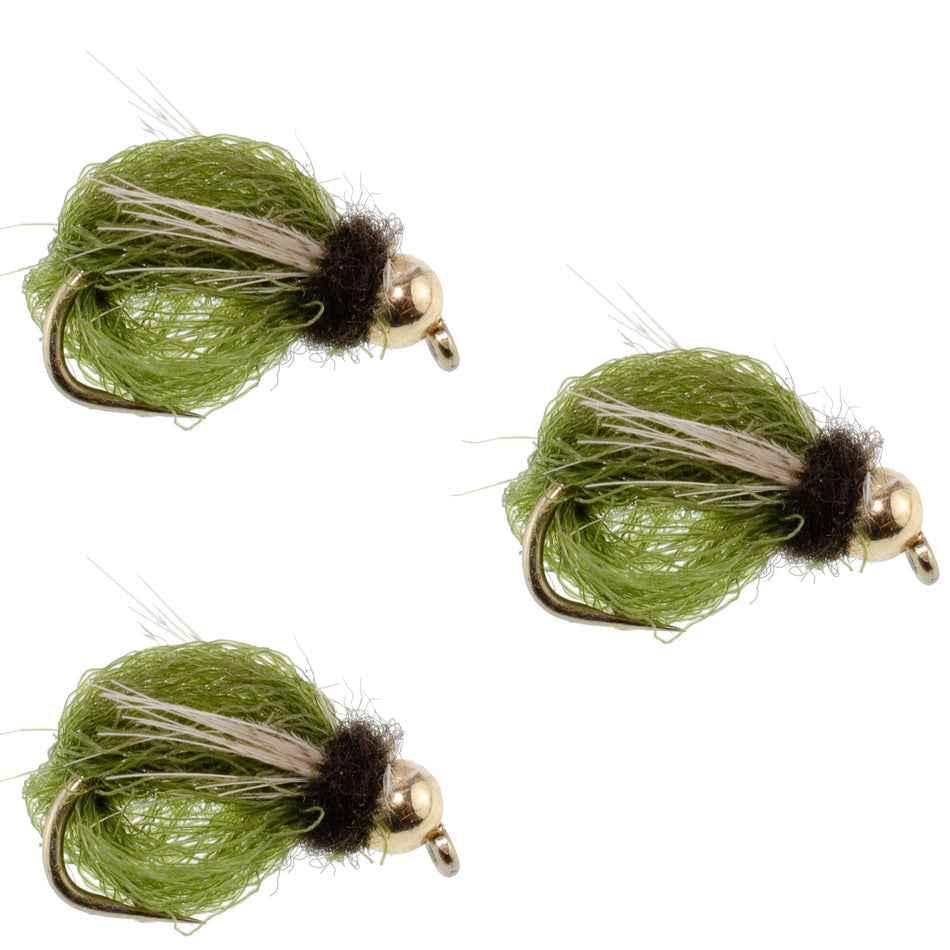 3 Pack LaFontaine Olive Deep Sparkle Caddis Pupa - Hook Size 16