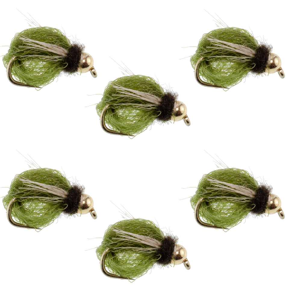 LaFontaine Olive Deep Sparkle Caddis Pupa - 6 Flies Hook Size 18