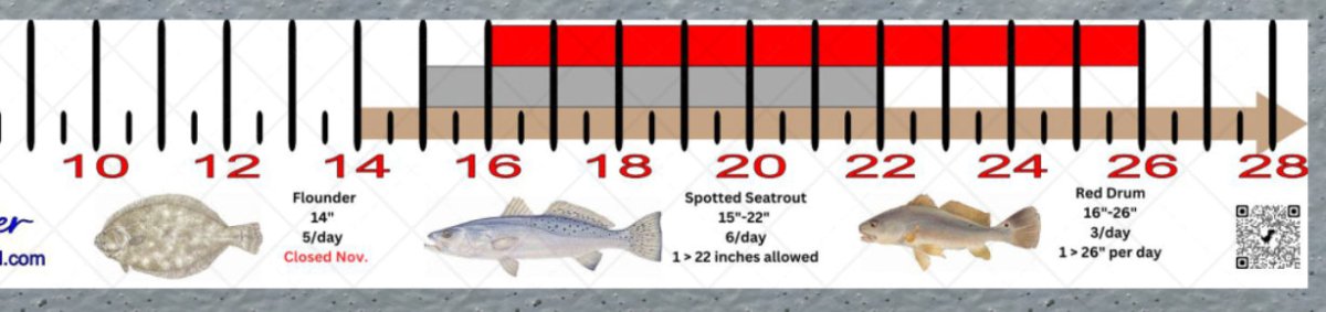 Alabama Inshore Fishing Slot Ruler Decal - Get Tight Gear
