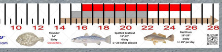 Alabama Inshore Fishing Slot Ruler Decal - Get Tight Gear