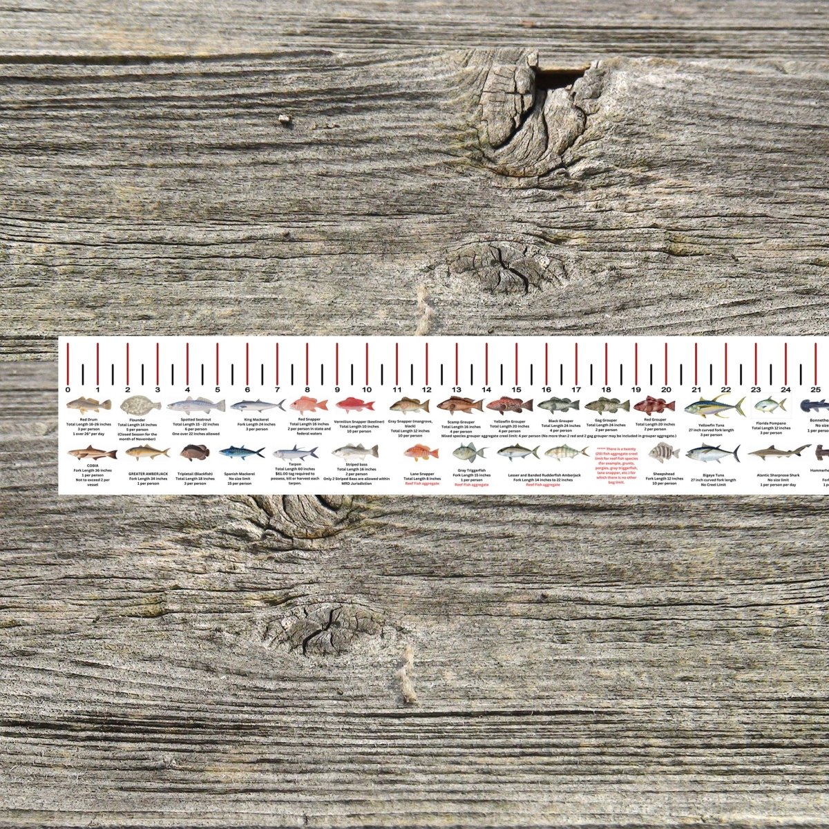 ALABAMA SALT WATER RULER 50 INCH FISH ID AND STATE REGULATIONS FISH RULER DECAL - Get Tight Gear