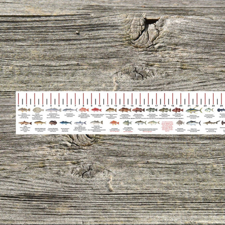 ALABAMA SALT WATER RULER 50 INCH FISH ID AND STATE REGULATIONS FISH RULER DECAL - Get Tight Gear