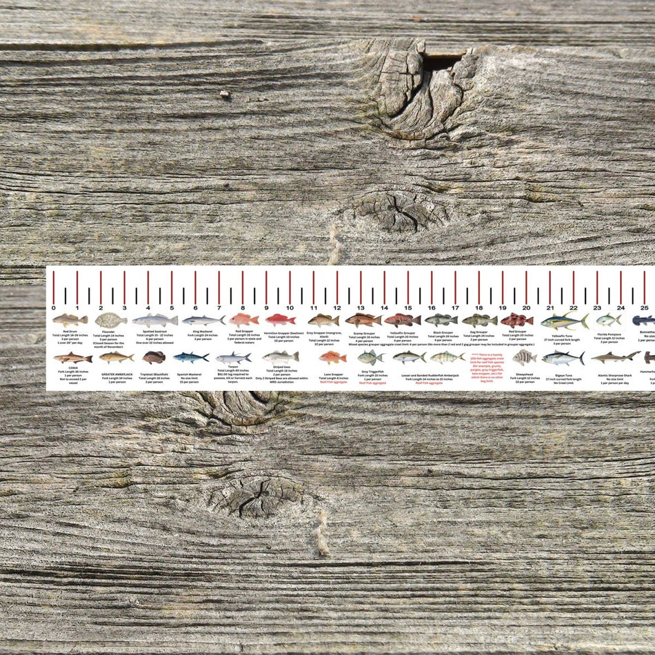 ALABAMA SALT WATER RULER 50 INCH FISH ID AND STATE REGULATIONS FISH RULER DECAL - Get Tight Gear
